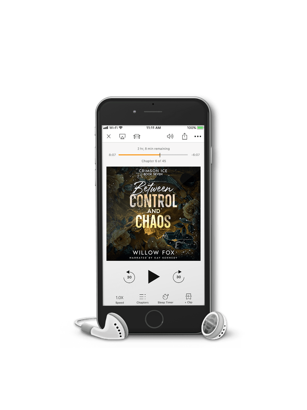 Between Control and Chaos (Audiobook)